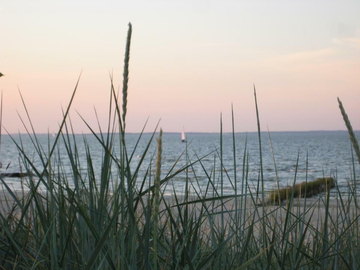 Ferienhaus "Strandgut" Ueckermünde Dış mekan fotoğraf